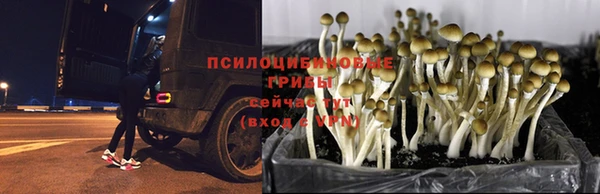 mdma Заводоуковск
