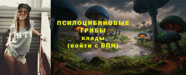 2c-b Беломорск